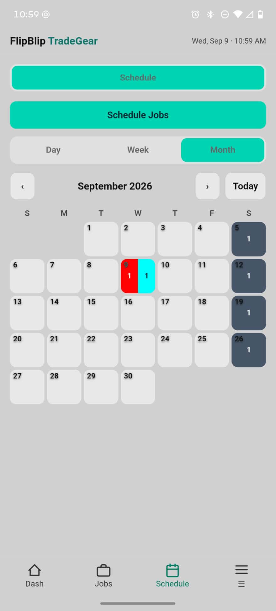 FlipBlip screenshot